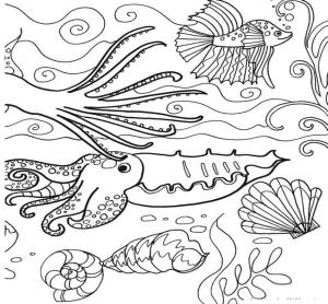 Deniz Canlılar boyama sayfası,  coloring page, Deniz dünyasının çeşitliliği., 