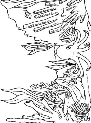 Deniz Canlılar boyama sayfası,  coloring page, Yalnız ahtapot, 