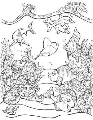 Deniz Canlılar boyama sayfası,  coloring page, Denizin sualtı yaşamı, 