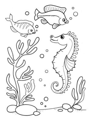 Deniz Canlılar boyama sayfası,  coloring page, Deniz dibini keşfeden balıklar, 