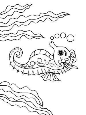 Deniz Canlılar boyama sayfası,  coloring page, Yosun sürprizlerle dolu, 