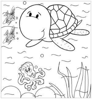 Deniz Canlılar boyama sayfası,  coloring page, Deniz alanının küçük sakinleri, 