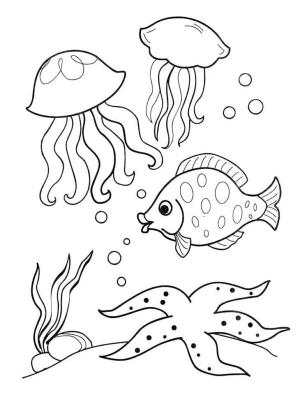 Deniz Canlılar boyama sayfası,  coloring page, Deniz canlıları, 