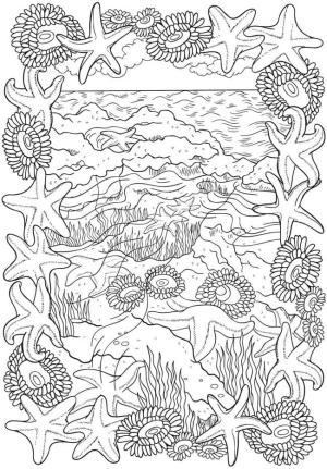 Deniz Canlılar boyama sayfası,  coloring page, Çeşitli deniz dünyası, 