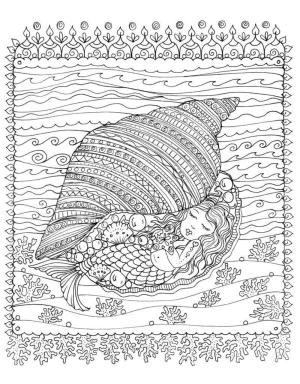 Deniz Canlılar boyama sayfası,  coloring page, Bir kabuktaki kız., 