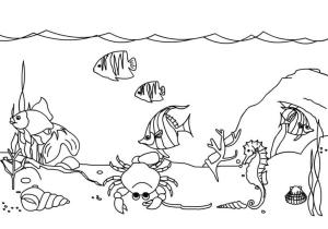 Deniz Canlılar boyama sayfası,  coloring page, Denizin dibi deniz yaşamı açısından zengindir., 