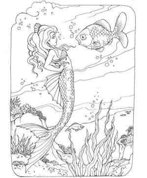 Deniz Canlılar boyama sayfası,  coloring page, Bir deniz kızıyla beklenmedik bir karşılaşma., 