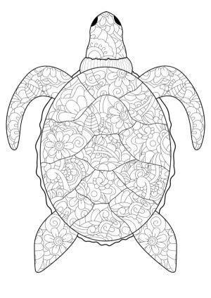 Deniz Canlılar boyama sayfası,  coloring page, Deniz boşluğunun en eski yaratığı, 