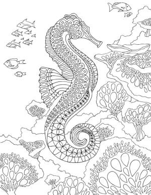 Deniz Canlılar boyama sayfası,  coloring page, Deniz canlıları diyarı, 