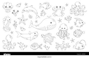 Deniz Hayvanları boyama sayfası – PDF indir, sevimli karakter
