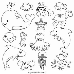 Deniz Hayvanları boyama sayfası – eğitici aktivite, yaratıcılık