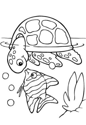 Deniz Hayvanları boyama sayfası,  coloring page, Kaplumbağa ve balık, 