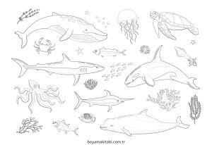 Deniz Hayvanları boyama sayfası – yaratıcılığı geliştirir, keyifli zaman