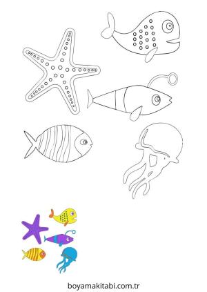 Deniz Hayvanları boyama sayfası – yaratıcılığı geliştirir, keyifli zaman