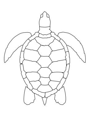 Deniz Kaplumbağası boyama sayfası,  coloring page, , 