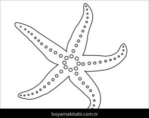 Deniz Yıldızı boyama sayfası – keyifli zaman, renkli çizimler