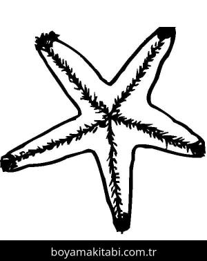 Deniz Yıldızı boyama sayfası – eğitici aktivite, yaratıcılık