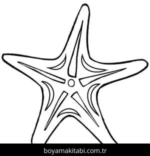 Deniz Yıldızı boyama sayfası – çocuk aktivitesi, PDF indir