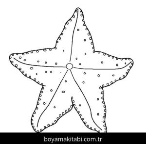 Deniz Yıldızı boyama sayfası – çocuklar için, çizgi film temalı