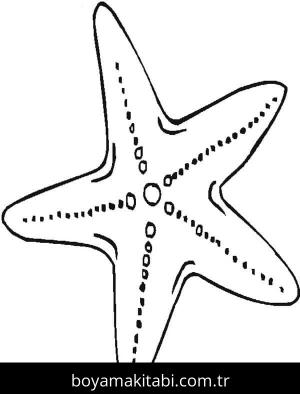 Deniz Yıldızı boyama sayfası – basit çizim, kolay boyama