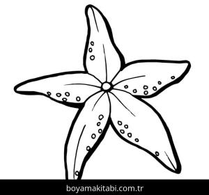 Deniz Yıldızı boyama sayfası – boyama çalışması, yaratıcılığı geliştirir