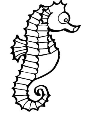 Denizatı boyama sayfası,  coloring page, Denizatı resmi, 