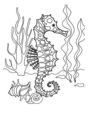 Denizatı boyama sayfası,  coloring page, , 