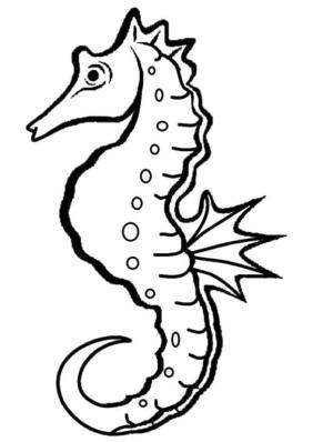 Denizatı boyama sayfası,  coloring page, Denizatı 1, 