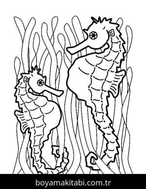 Denizatı boyama sayfası – PDF indir, sevimli karakter