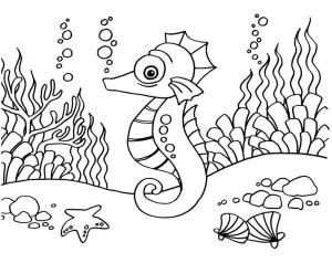 Denizatı boyama sayfası,  coloring page, , 