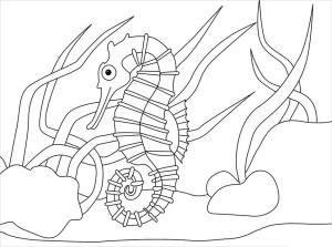 Denizatı boyama sayfası,  coloring page, Denizatı 4, 