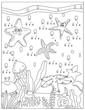 Denizyıldızı boyama sayfası,  coloring page, Mühür Hayvanı, 