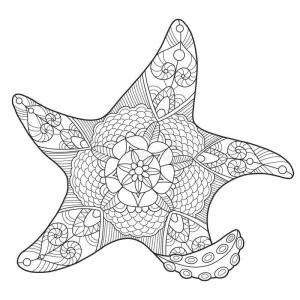 Denizyıldızı boyama sayfası,  coloring page, Sert Denizyıldızı, 