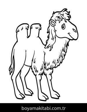 Deve boyama sayfası – eğitici aktivite, yaratıcılık