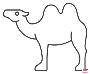 Deve boyama sayfası, Camel coloring page, , Camels Camel