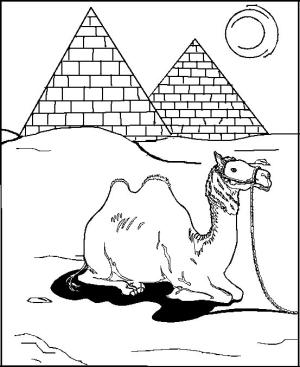 Deve boyama sayfası, Camel coloring page, Develer ve iki Piramit, 