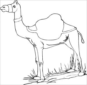 Deve boyama sayfası, Camel coloring page, Sevimli Deve, 