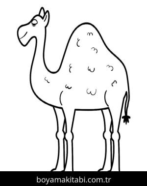 Deve boyama sayfası – yaratıcılığı geliştirir, keyifli zaman
