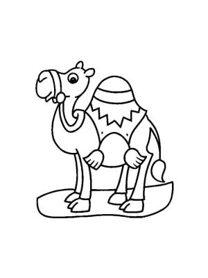 Deve boyama sayfası, Camel coloring page, Küçük Deve, 