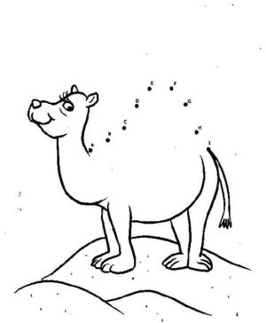 Deve boyama sayfası, Camel coloring page, Nokta Nokta Deve, 