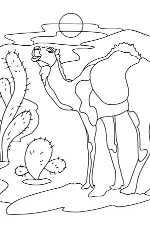 Deve boyama sayfası, Camel coloring page, Kaktüs ile Deve, 