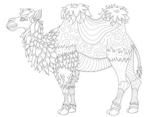 Deve boyama sayfası, Camel coloring page, Deve Yetişkin Içindir, 