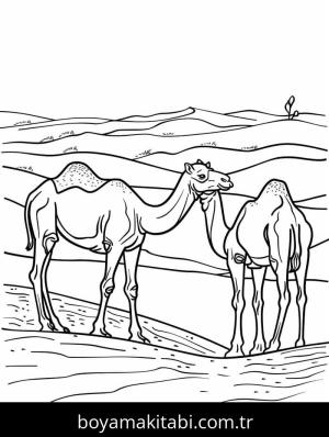 Deve boyama sayfası – ücretsiz yazdır, boyama etkinliği