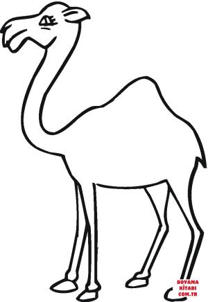 Deve boyama sayfası, Camel coloring page, , Camels Camel