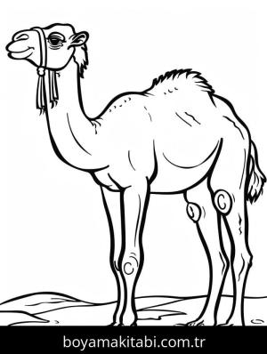 Deve boyama sayfası – PDF indir, sevimli karakter