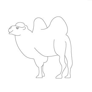 Deve boyama sayfası, Camel coloring page, Şişman Deve, 