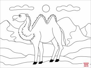 Deve boyama sayfası, Camel coloring page, , Camels Camel