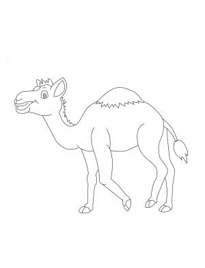 Deve boyama sayfası, Camel coloring page, Eğlenceli Küçük Deve, 