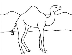 Deve boyama sayfası, Camel coloring page, Büyük Deve, 