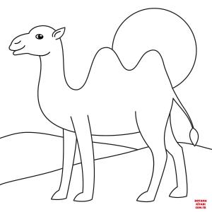 Deve boyama sayfası, Camel coloring page, , Camels Camel